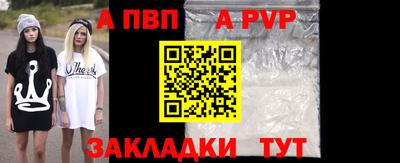 кокс Кингисепп