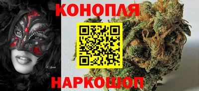 кокс Кингисепп