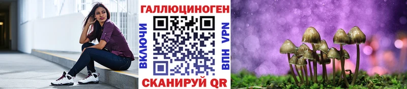 наркота  Лесозаводск  kraken ONION  Псилоцибиновые грибы Cubensis 